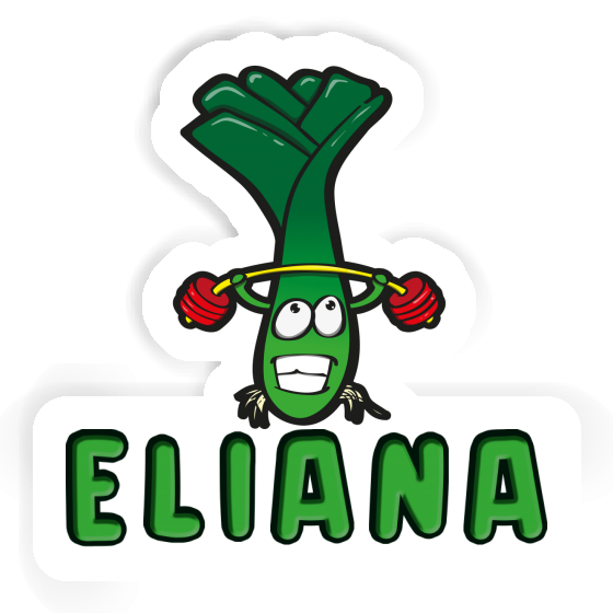 Aufkleber Eliana Lauch Notebook Aufkleber Eliana Lauch Notebook Image