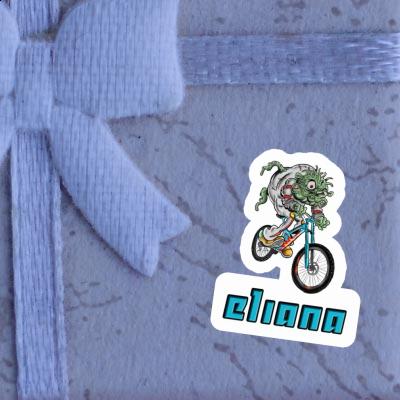 Autocollant Vététiste de descente Eliana Notebook Autocollant Vététiste de descente Eliana Gift package Image