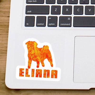 Carlin Autocollant Eliana Notebook Carlin Autocollant Eliana Gift package Image