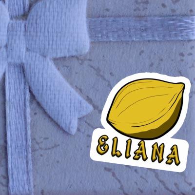 Eliana Aufkleber Nuss Notebook Eliana Aufkleber Nuss Gift package Image