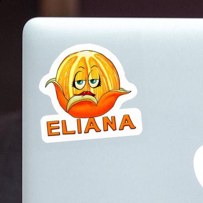 Orange Aufkleber Eliana Laptop Image