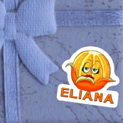 Orange Sticker Eliana Notebook Orange Sticker Eliana Gift package Image