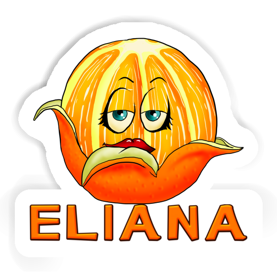 Orange Sticker Eliana Notebook Orange Sticker Eliana Notebook Image
