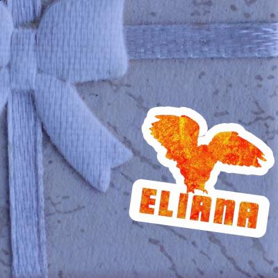 Autocollant Eliana Hibou Gift package Image