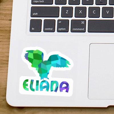 Eule Sticker Eliana Notebook Eule Sticker Eliana Gift package Image