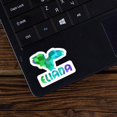 Eule Sticker Eliana Notebook Eule Sticker Eliana Gift package Image