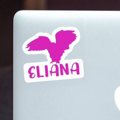 Eliana Sticker Eule Notebook Eliana Sticker Eule Gift package Image