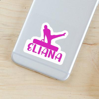 Eliana Sticker Turner Notebook Eliana Sticker Turner Notebook Image