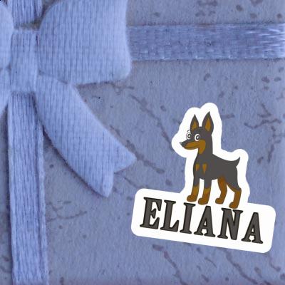 Autocollant Pinscher Eliana Laptop Image