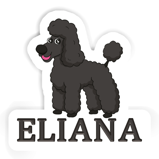 Poodle Sticker Eliana Notebook Poodle Sticker Eliana Gift package Image