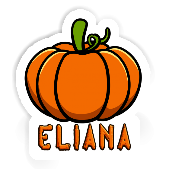 Eliana Autocollant Courge Notebook Eliana Autocollant Courge Notebook Image