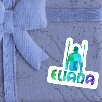 Sticker Eliana Ring gymnast Notebook Sticker Eliana Ring gymnast Notebook Image