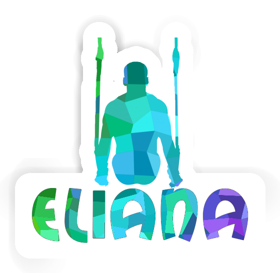 Sticker Eliana Ring gymnast Notebook Sticker Eliana Ring gymnast Gift package Image