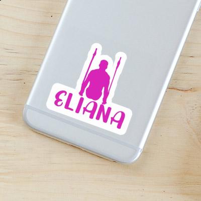 Eliana Sticker Ring gymnast Notebook Eliana Sticker Ring gymnast Gift package Image