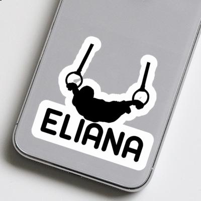 Sticker Eliana Ring gymnast Laptop Sticker Eliana Ring gymnast Laptop Image