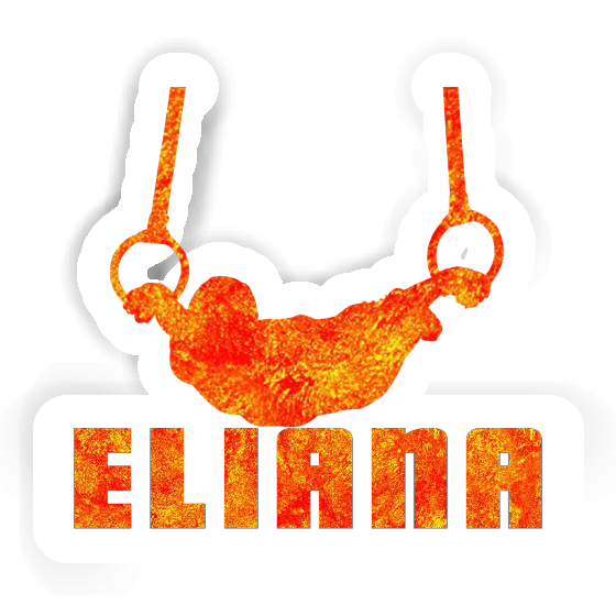 Sticker Ring gymnast Eliana Notebook Sticker Ring gymnast Eliana Gift package Image