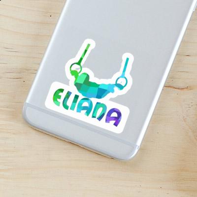 Eliana Aufkleber Ringturner Notebook Eliana Aufkleber Ringturner Gift package Image