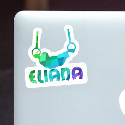 Eliana Aufkleber Ringturner Notebook Eliana Aufkleber Ringturner Gift package Image