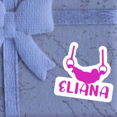 Sticker Eliana Ring gymnast Notebook Sticker Eliana Ring gymnast Notebook Image