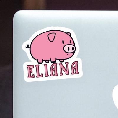 Eliana Sticker Schwein Image