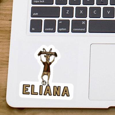 Autocollant Eliana Bouquetin Notebook Autocollant Eliana Bouquetin Notebook Image