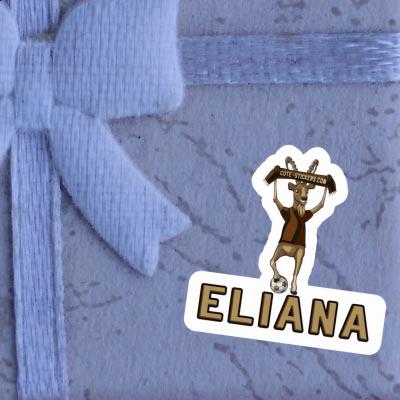 Autocollant Eliana Bouquetin Notebook Autocollant Eliana Bouquetin Gift package Image
