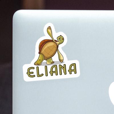 Autocollant Eliana Tortue Notebook Autocollant Eliana Tortue Gift package Image