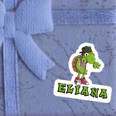 Autocollant Tortue Eliana Autocollant Tortue Eliana Image