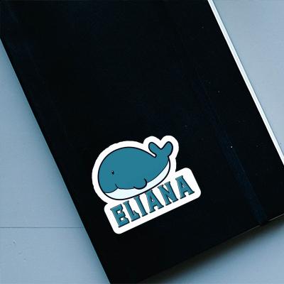Baleine Autocollant Eliana Laptop Baleine Autocollant Eliana Laptop Image
