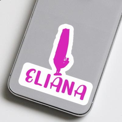 Autocollant Windsurfer Eliana Gift package Image