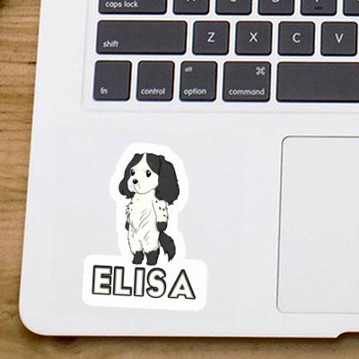 Sticker Spaniel Elisa Gift package Image