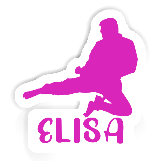 Elisa Sticker Karateka Notebook Image