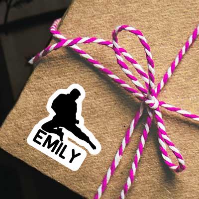 Sticker Emily Karateka Notebook Sticker Emily Karateka Notebook Image