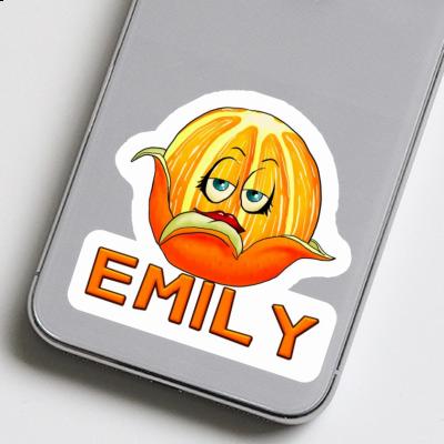 Sticker Emily Orange Laptop Sticker Emily Orange Laptop Image