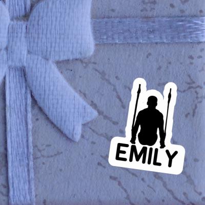 Autocollant Emily Gymnaste aux anneaux Notebook Autocollant Emily Gymnaste aux anneaux Gift package Image