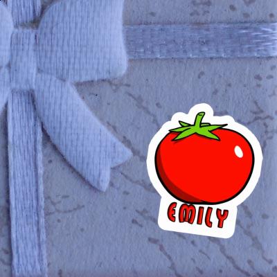 Tomato Sticker Emily Notebook Tomato Sticker Emily Gift package Image