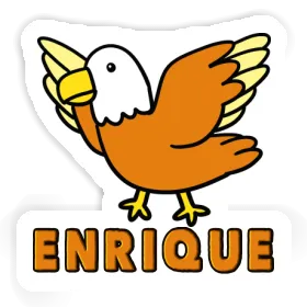 Autocollant Oiseau Enrique Image