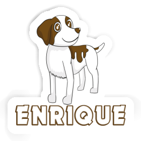 Bretagne Hund Aufkleber Enrique Image