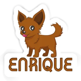 Chihuahua Aufkleber Enrique Image