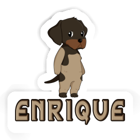 Aufkleber Deutsch Drahthaar Enrique Image