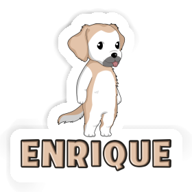 Golden Retriever Sticker Enrique Image
