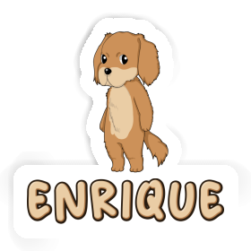 Hovawart Aufkleber Enrique Image
