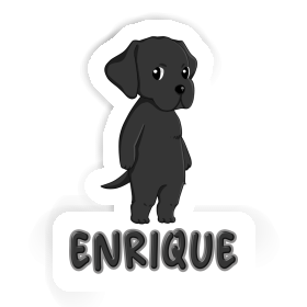Labrador Retriever Sticker Enrique Image