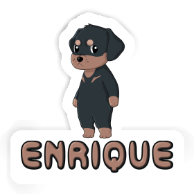 Aufkleber Enrique Rottweiler Image