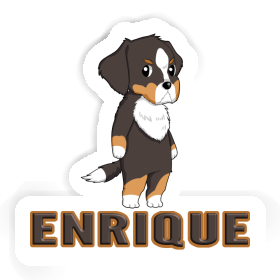 Berner Sennenhund Sticker Enrique Image