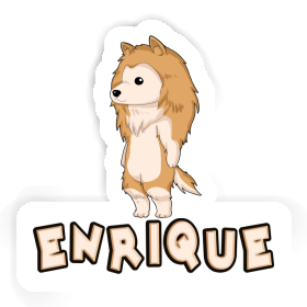 Collie Aufkleber Enrique Image