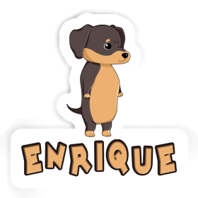 Aufkleber Teckel Enrique Image