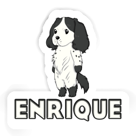 Sticker Cocker Spaniel Enrique Image