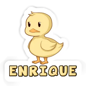 Enrique Autocollant Canard Image