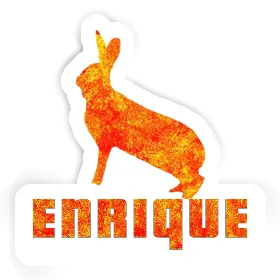 Aufkleber Kaninchen Enrique Image
